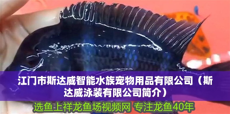 江門市斯達威智能水族寵物用品有限公司（斯達威泳裝有限公司簡介）