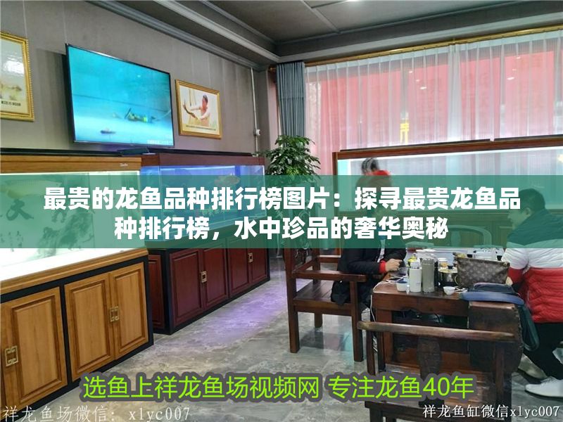 最貴的龍魚品種排行榜圖片：探尋最貴龍魚品種排行榜，水中珍品的奢華奧秘