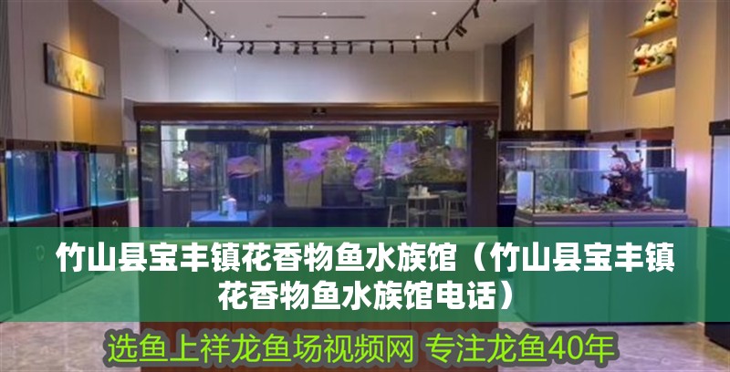 竹山縣寶豐鎮花香物魚水族館（竹山縣寶豐鎮花香物魚水族館電話）
