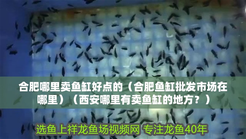 合肥哪里賣魚缸好點的（合肥魚缸批發(fā)市場在哪里）（西安哪里有賣魚缸的地方？）