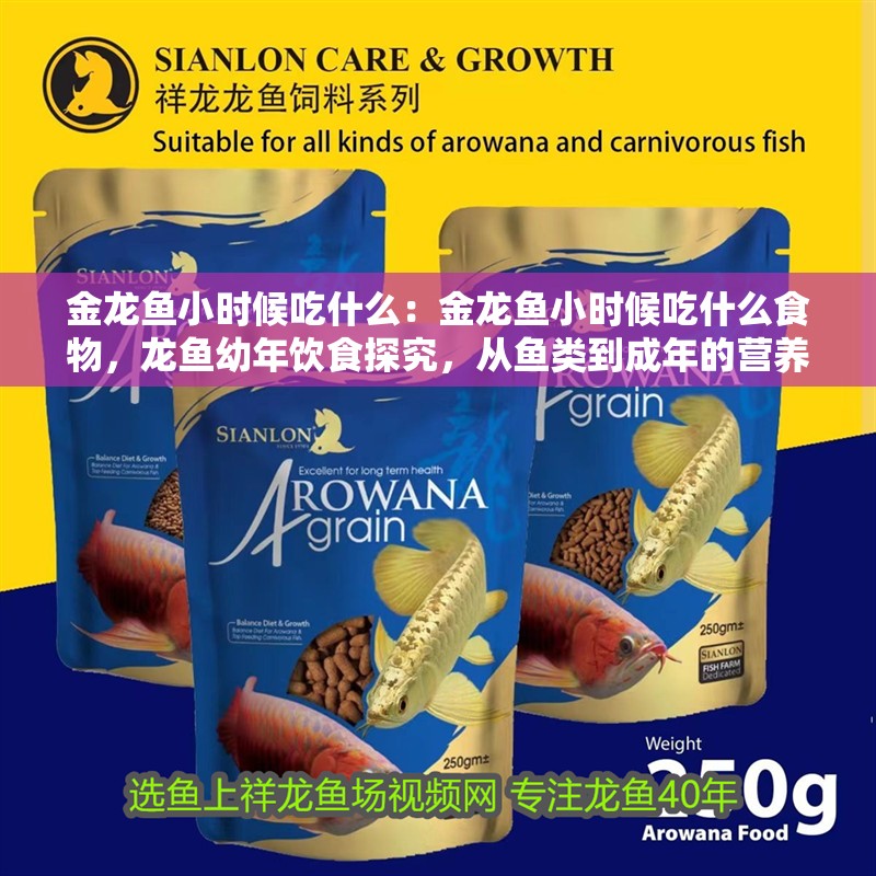 金龍魚小時候吃什么：金龍魚小時候吃什么食物，龍魚幼年飲食探究，從魚類到成年的營養轉變