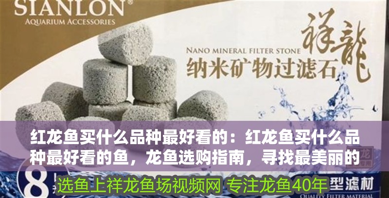 紅龍魚買什么品種最好看的：紅龍魚買什么品種最好看的魚，龍魚選購指南，尋找最美麗的品種 紅龍魚買什么品種最好看的：紅龍魚買什么品種最好看的魚，龍魚選購指南，尋找最美麗的品種 水族問答