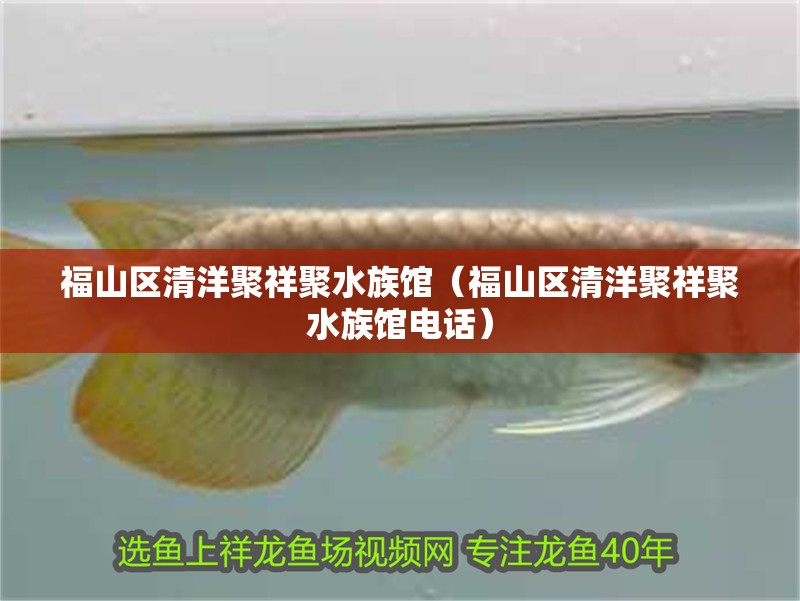 福山區清洋聚祥聚水族館(福山區清洋聚祥聚水族館電話) 全國水族館企業名錄 第2張 福山區清洋聚祥聚水族館(福山區清洋聚祥聚水族館電話) 福山區清洋聚祥聚水族館(福山區清洋聚祥聚水族館電話) 全國水族館企業名錄 第2張