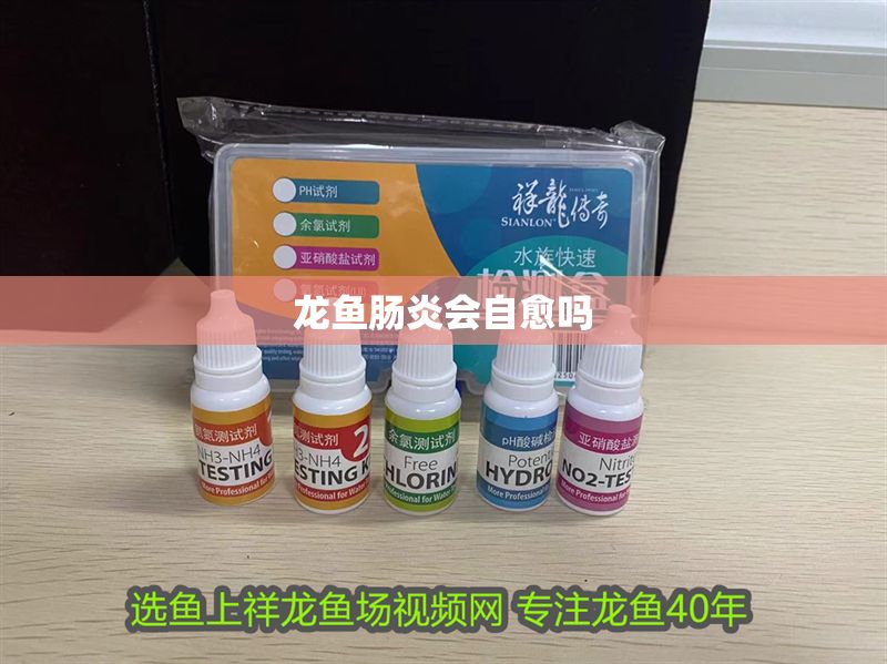 龍魚腸炎會自愈嗎