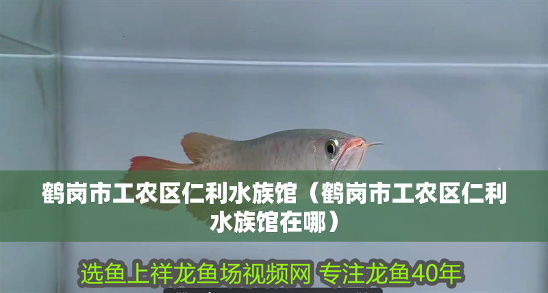 鶴崗市工農區仁利水族館（鶴崗市工農區仁利水族館在哪）