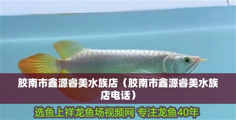 膠南市鑫源睿美水族店（膠南市鑫源睿美水族店電話）