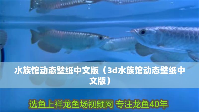 水族館動態壁紙中文版（3d水族館動態壁紙中文版） 水族館動態壁紙中文版（3d水族館動態壁紙中文版） 水族館百科（水族館加盟） 第1張