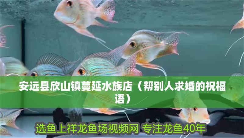 安遠(yuǎn)縣欣山鎮(zhèn)蔓延水族店（幫別人求婚的祝福語(yǔ)）