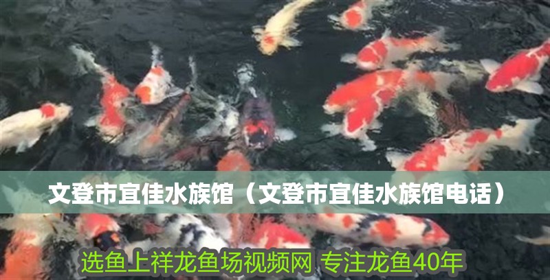 文登市宜佳水族館（文登市宜佳水族館電話）