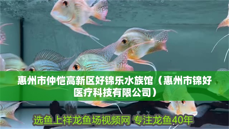 惠州市仲愷高新區(qū)好錦樂水族館（惠州市錦好醫(yī)療科技有限公司）