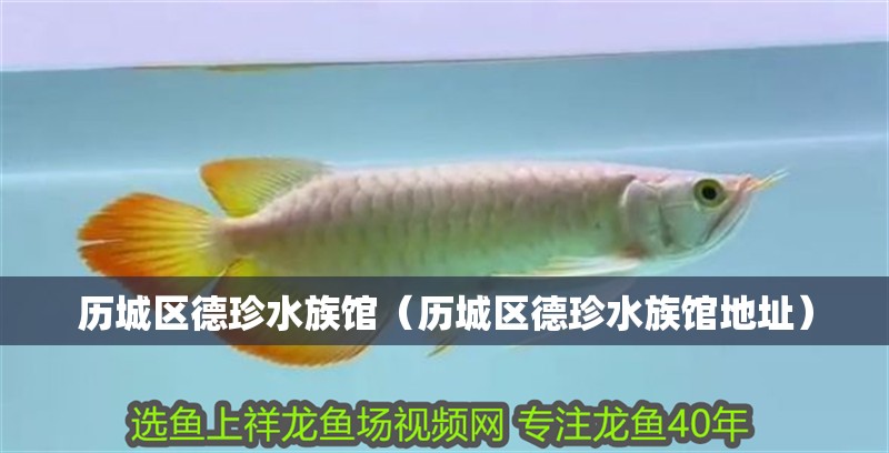 歷城區德珍水族館（歷城區德珍水族館地址）