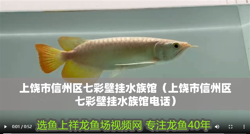 上饒市信州區七彩壁掛水族館（上饒市信州區七彩壁掛水族館電話） 上饒市信州區七彩壁掛水族館（上饒市信州區七彩壁掛水族館電話） 全國水族館企業名錄 第2張