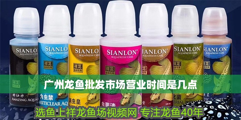 廣州龍魚批發市場營業時間是幾點