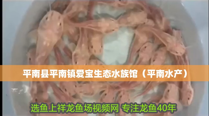 平南縣平南鎮(zhèn)愛寶生態(tài)水族館（平南水產(chǎn)）