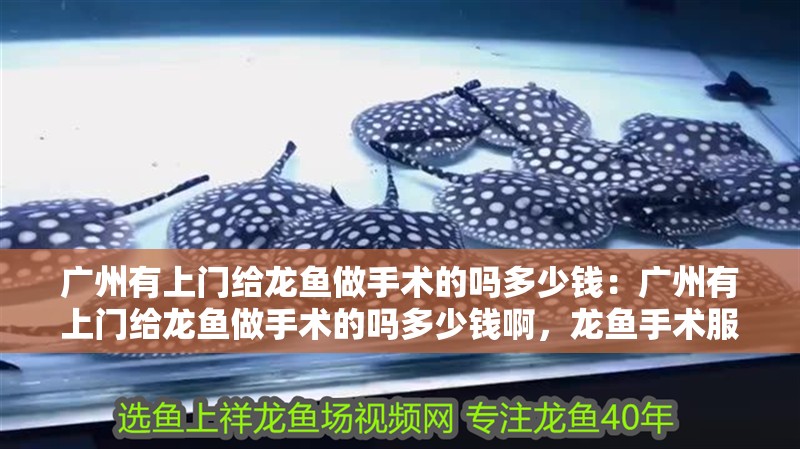 廣州有上門給龍魚做手術的嗎多少錢：廣州有上門給龍魚做手術的嗎多少錢啊，龍魚手術服務價格