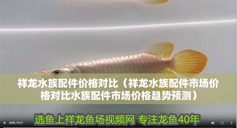 祥龍水族配件價格對比（祥龍水族配件市場價格對比水族配件市場價格趨勢預(yù)測）