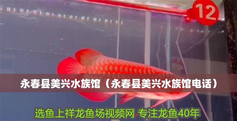 永春縣美興水族館（永春縣美興水族館電話） 永春縣美興水族館（永春縣美興水族館電話） 全國水族館企業名錄 第2張