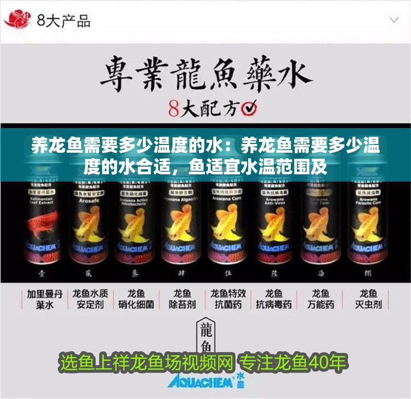 養(yǎng)龍魚需要多少溫度的水：養(yǎng)龍魚需要多少溫度的水合適，魚適宜水溫范圍及