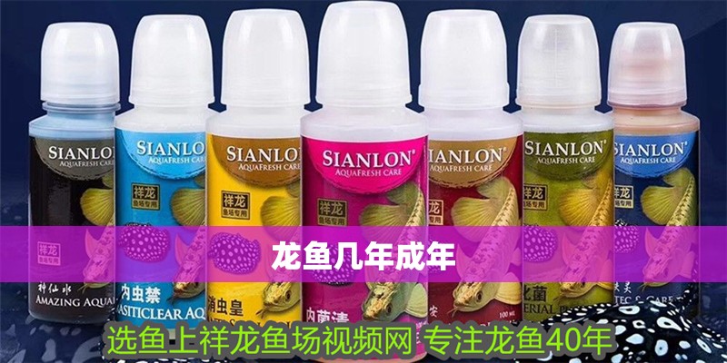 龍魚幾年成年