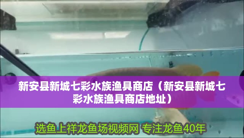 新安縣新城七彩水族漁具商店（新安縣新城七彩水族漁具商店地址）