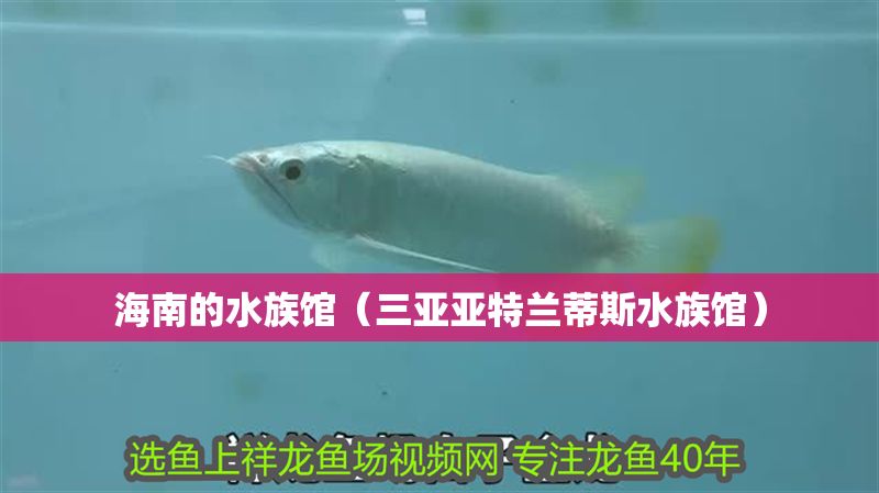海南的水族館（三亞亞特蘭蒂斯水族館）
