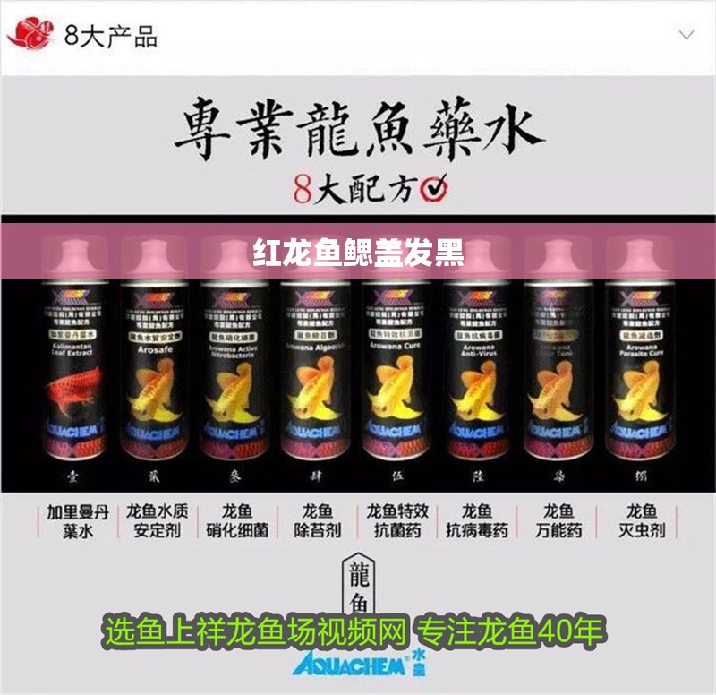 紅龍魚鰓蓋發(fā)黑