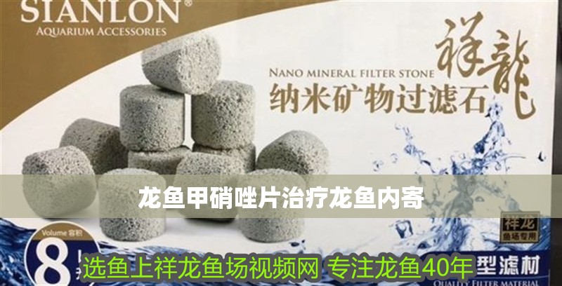 龍魚甲硝唑片治療龍魚內寄