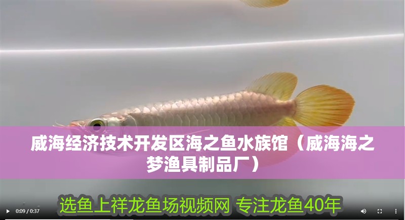 威海經(jīng)濟(jì)技術(shù)開發(fā)區(qū)海之魚水族館（威海海之夢漁具制品廠）
