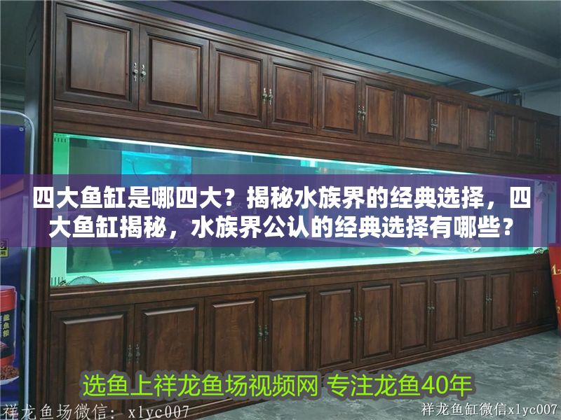 四大魚缸是哪四大？揭秘水族界的經典選擇，四大魚缸揭秘，水族界公認的經典選擇有哪些？