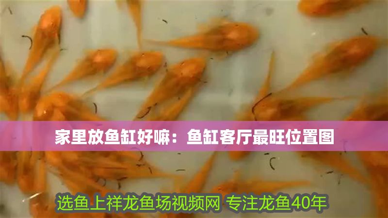 家里放魚缸好嘛：魚缸客廳最旺位置圖
