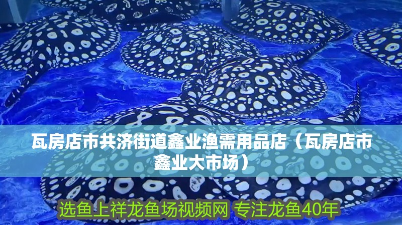 瓦房店市共濟街道鑫業漁需用品店（瓦房店市鑫業大市場）