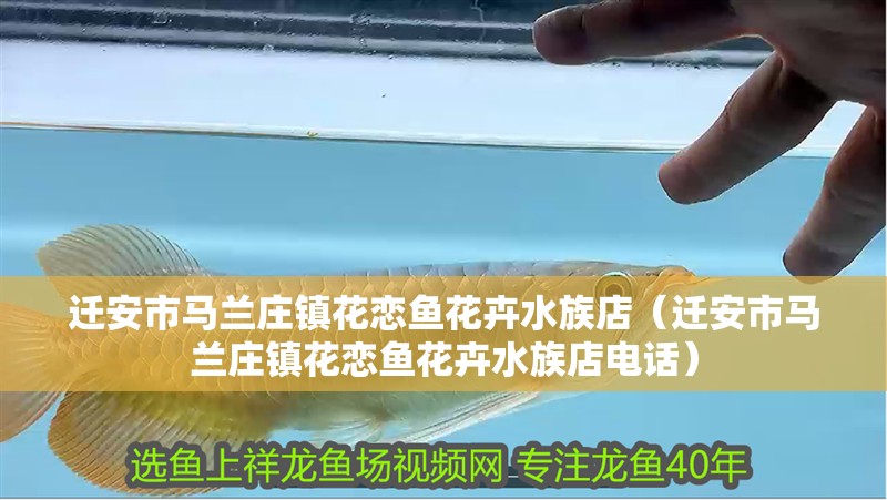 遷安市馬蘭莊鎮花戀魚花卉水族店（遷安市馬蘭莊鎮花戀魚花卉水族店電話）