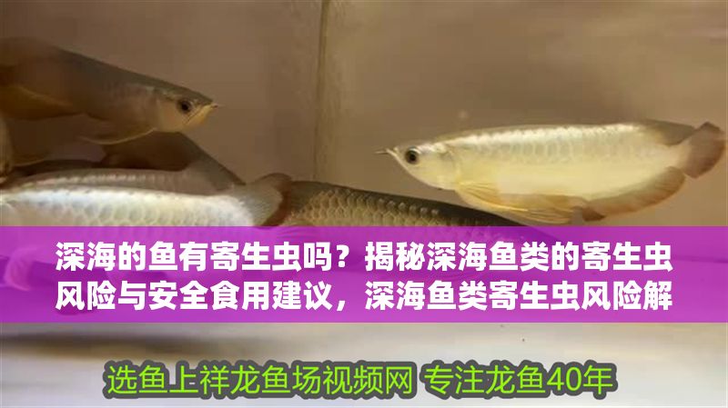 深海的魚有寄生蟲嗎?揭秘深海魚類的寄生蟲風險與安全食用建議,深海魚類寄生蟲風險解析及安全食用指南