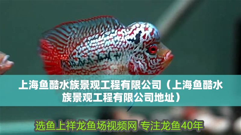 上海魚酷水族景觀工程有限公司（上海魚酷水族景觀工程有限公司地址）