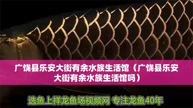 廣饒縣樂(lè)安大街有余水族生活館（廣饒縣樂(lè)安大街有余水族生活館嗎）