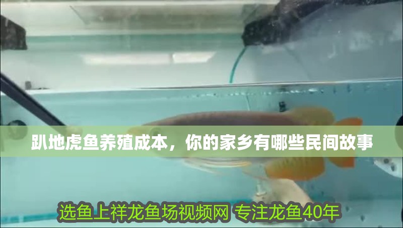 趴地虎魚養殖成本，你的家鄉有哪些民間故事