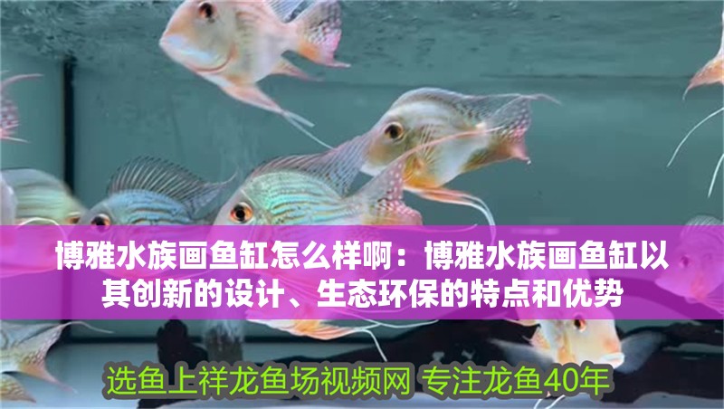 龍魚怕什么 博雅水族畫魚缸怎么樣啊:博雅水族畫魚缸以其創(chuàng)新的設(shè)計、生態(tài)環(huán)保的特點和優(yōu)勢 魚缸百科 博雅水族畫魚缸怎么樣啊:博雅水族畫魚缸以其創(chuàng)新的設(shè)計、生態(tài)環(huán)保的特點和優(yōu)勢 博雅水族畫魚缸怎么樣啊:博雅水族畫魚缸以其創(chuàng)新的設(shè)計、生態(tài)環(huán)保的特點和優(yōu)勢 魚缸百科