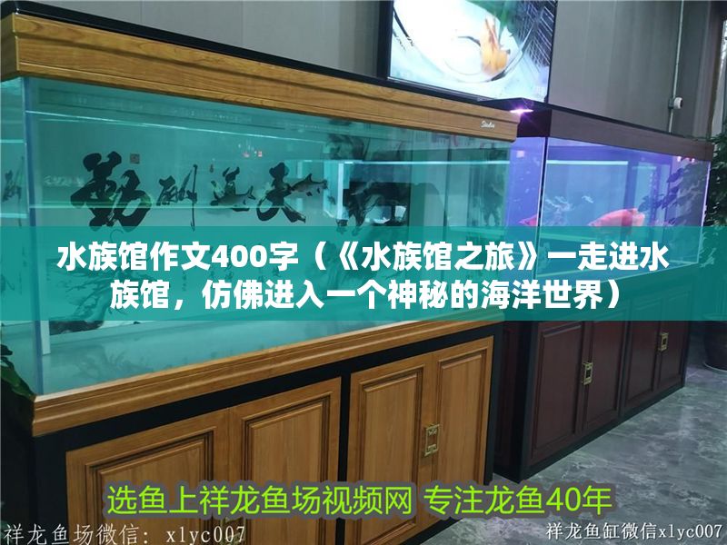 水族館作文400字（《水族館之旅》一走進水族館，仿佛進入一個神秘的海洋世界） 水族館作文400字（《水族館之旅》一走進水族館，仿佛進入一個神秘的海洋世界） 水族館百科（水族館加盟） 第1張