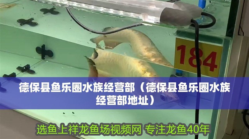 德保縣魚樂圈水族經(jīng)營部（德保縣魚樂圈水族經(jīng)營部地址）