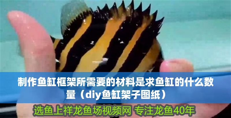 制作魚(yú)缸框架所需要的材料是求魚(yú)缸的什么數(shù)量（diy魚(yú)缸架子圖紙）