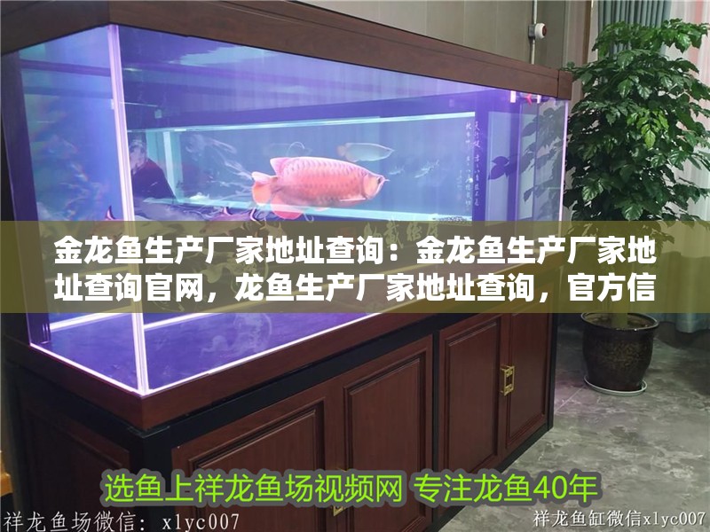 金龍魚生產廠家地址查詢：金龍魚生產廠家地址查詢官網，龍魚生產廠家地址查詢，官方信息一覽