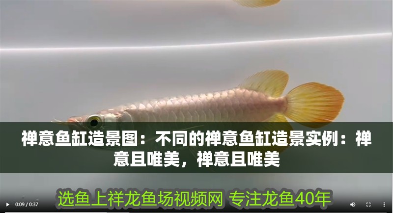 禪意魚(yú)缸造景圖：不同的禪意魚(yú)缸造景實(shí)例：禪意且唯美，禪意且唯美