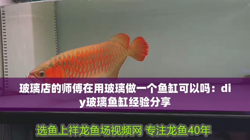 玻璃店的師傅在用玻璃做一個魚缸可以嗎：diy玻璃魚缸經驗分享