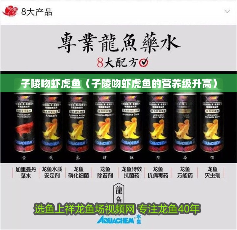 子陵吻蝦虎魚（子陵吻蝦虎魚的營養級升高）