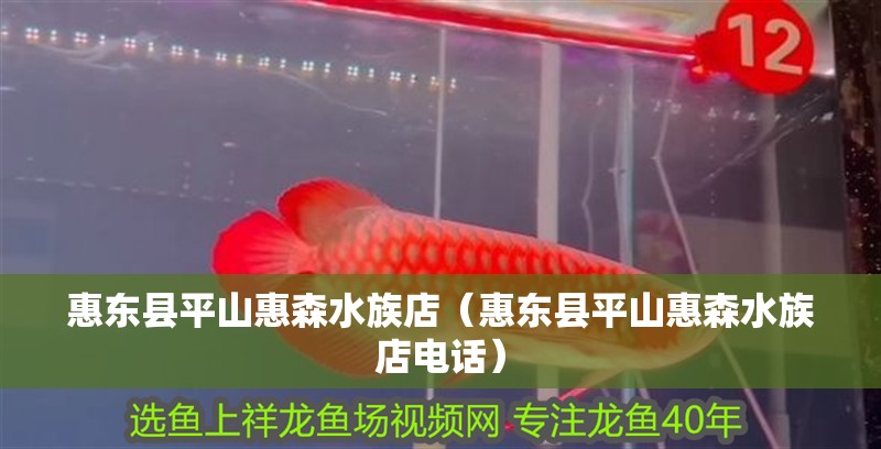 惠東縣平山惠森水族店（惠東縣平山惠森水族店電話）