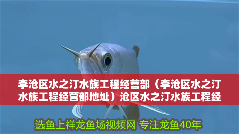 李滄區水之汀水族工程經營部（李滄區水之汀水族工程經營部地址）滄區水之汀水族工程經營部詳細地址及聯系方式 李滄區水之汀水族工程經營部（李滄區水之汀水族工程經營部地址）滄區水之汀水族工程經營部詳細地址及聯系方式 全國水族館企業名錄 第2張