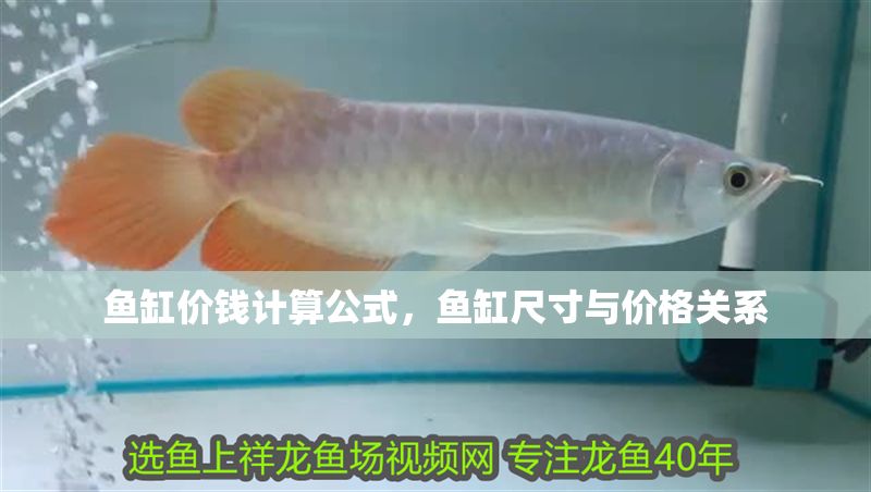 魚缸價錢計(jì)算公式，魚缸尺寸與價格關(guān)系