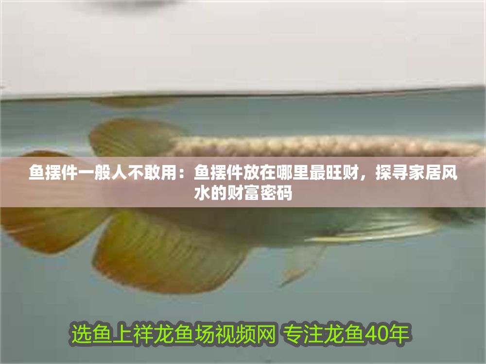 魚擺件一般人不敢用：魚擺件放在哪里最旺財，探尋家居風水的財富密碼