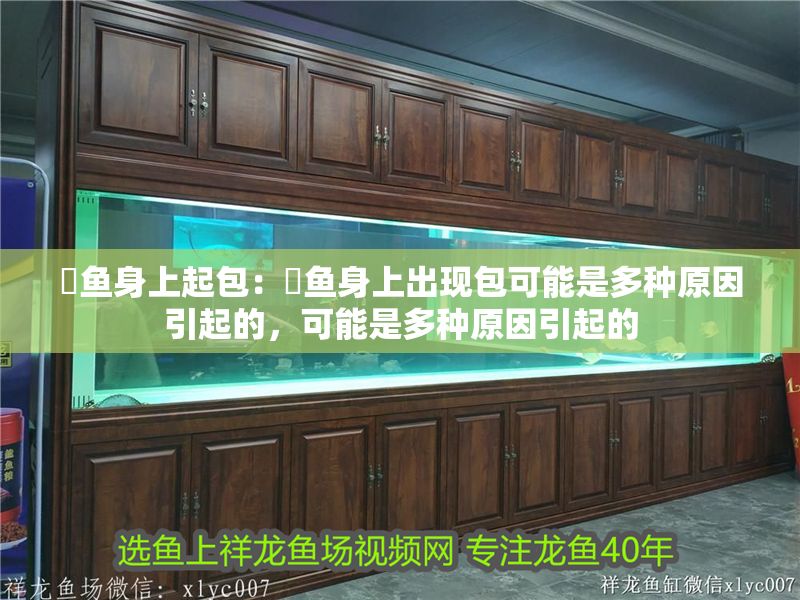 魟魚身上起包：魟魚身上出現包可能是多種原因引起的，可能是多種原因引起的