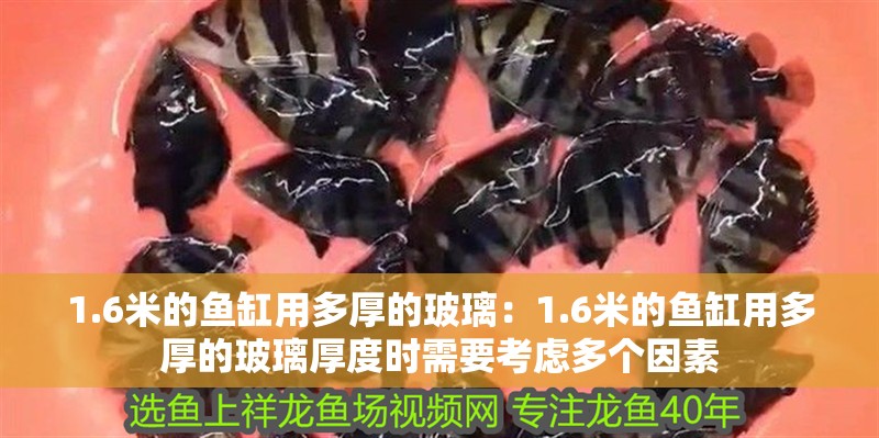 1.6米的魚缸用多厚的玻璃：1.6米的魚缸用多厚的玻璃厚度時(shí)需要考慮多個(gè)因素